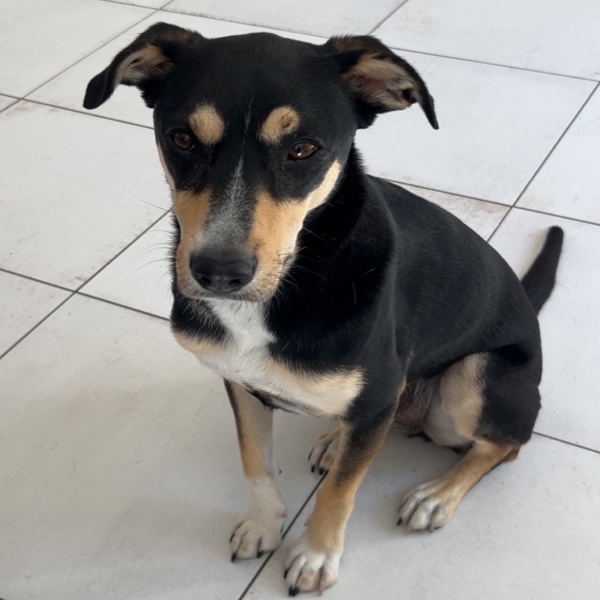 Ulko