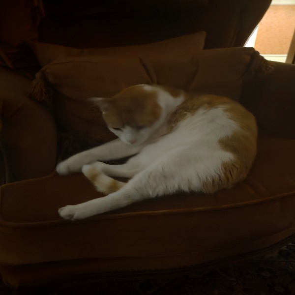 Berlioz
