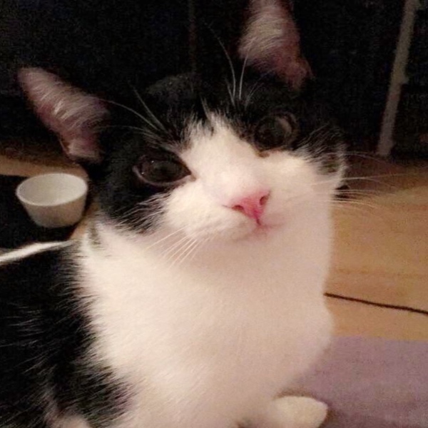 Gary
