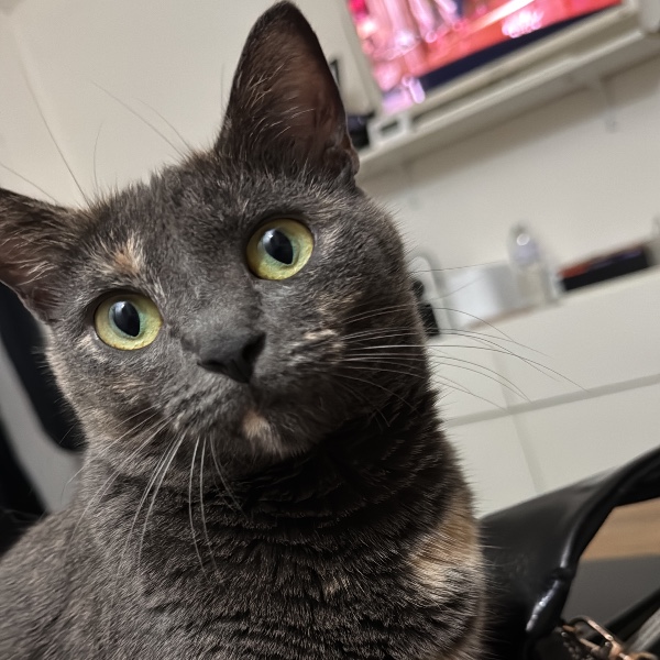 LUNA