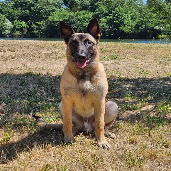 Jax
