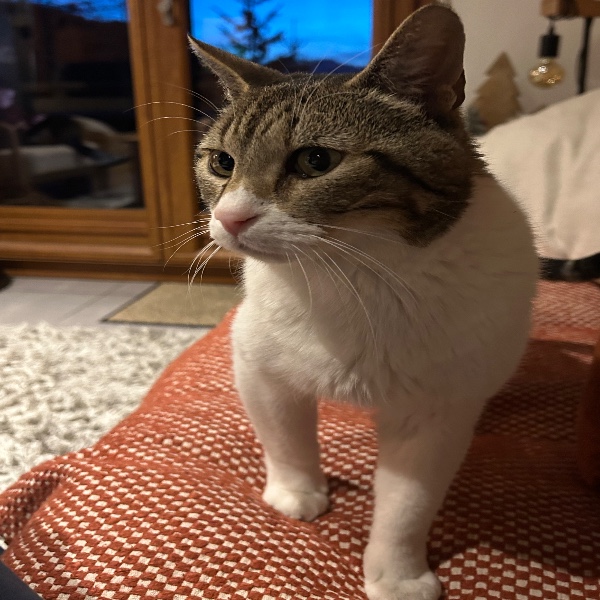 Ezra