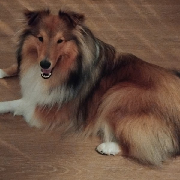 VICK