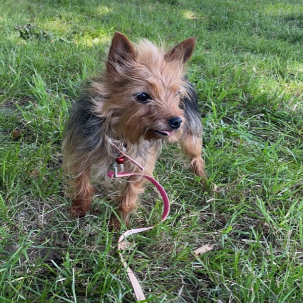 Nina