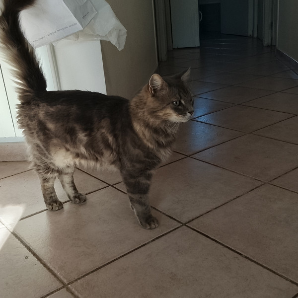 Max
