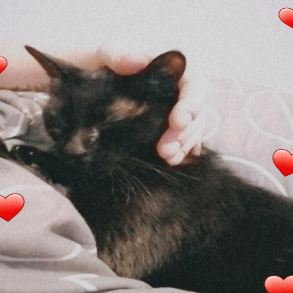 Loulou