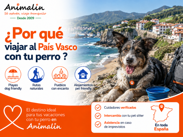🌊 ¿Y por qué irse de vacaciones al País Vasco con tu perro? ¿Qué hacer y a dónde ir?