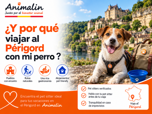 🏰 ¿Y por qué no irse de vacaciones al Périgord con tu perro? Visitas, paseos y actividades