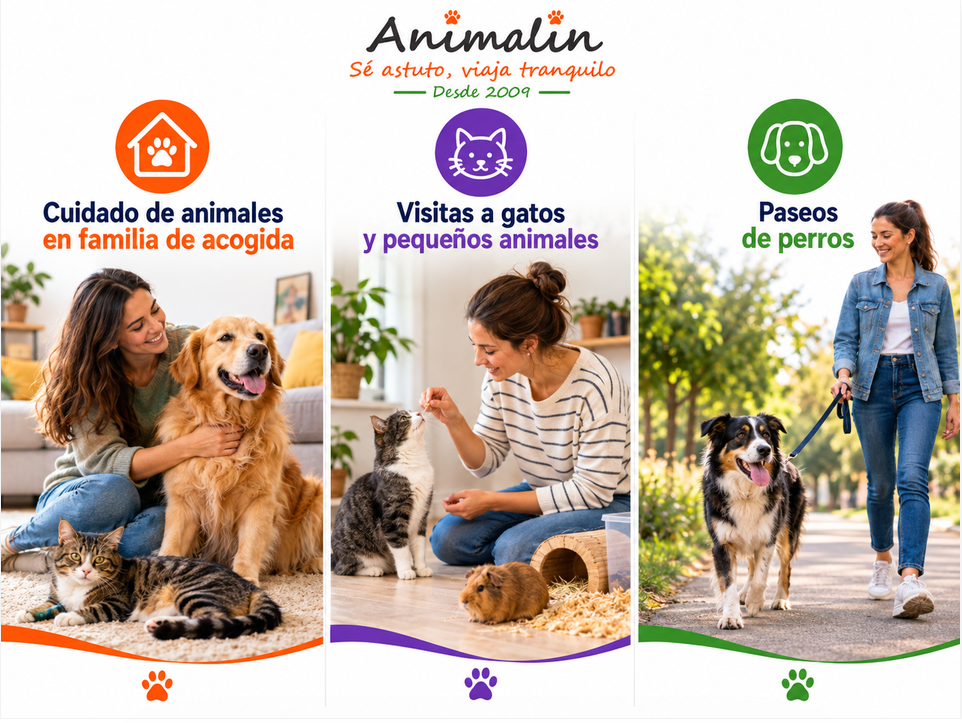 Alojamiento de mascotas: ¿cuidador, visitas a domicilio o paseos?