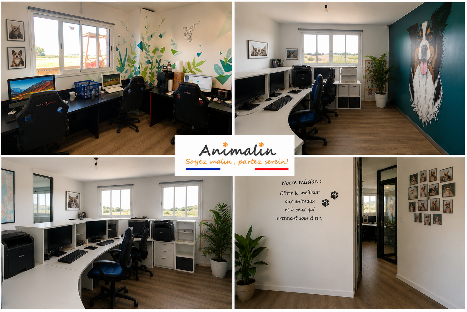 🐾 La historia de Animalin: 19 años de una aventura nacida de una simple idea