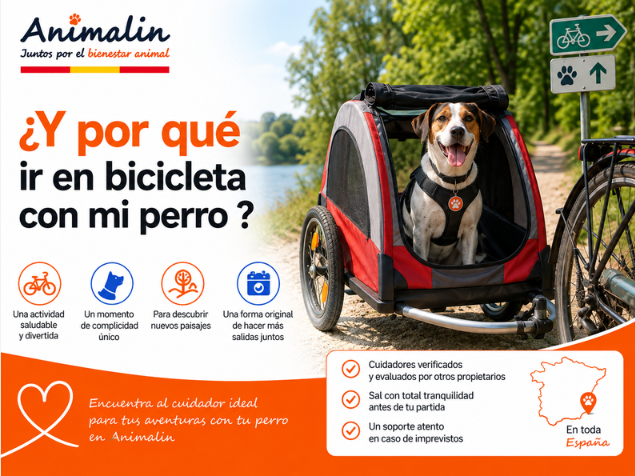 🚲 ¿Y por qué no ir en bicicleta con tu perro? Cómo organizar tu ruta