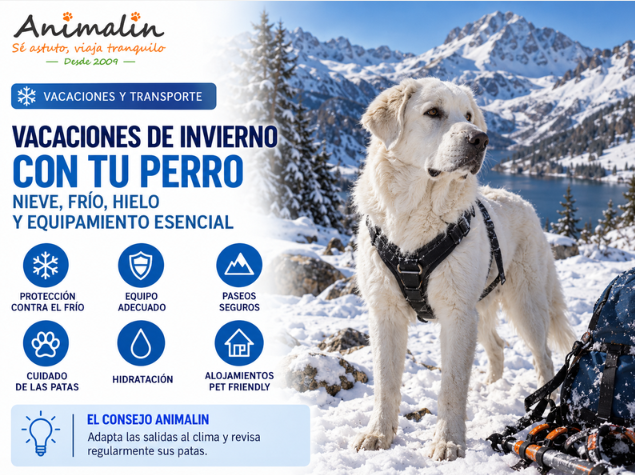 ❄️ Vacaciones de invierno con tu perro: nieve, frío, hielo y equipamiento indispensable