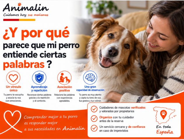 🤔 ¿Y por qué parece que mi perro entiende ciertas palabras?