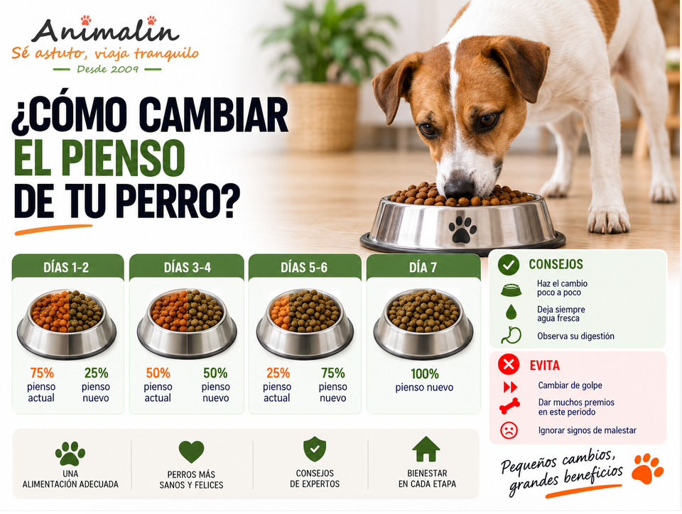 🔄 ¿Cómo cambiar el pienso de tu perro sin que le duela la tripa?