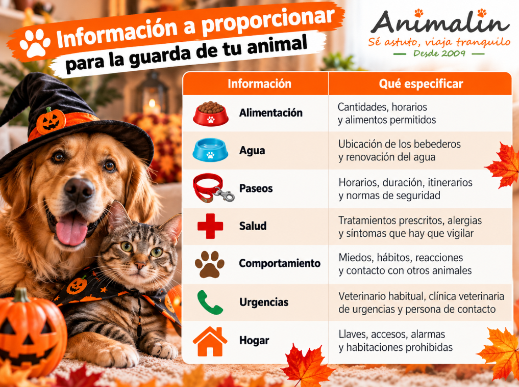 🐾 ¿Te vas por Halloween? Cómo organizar el alojamiento de tu animal
