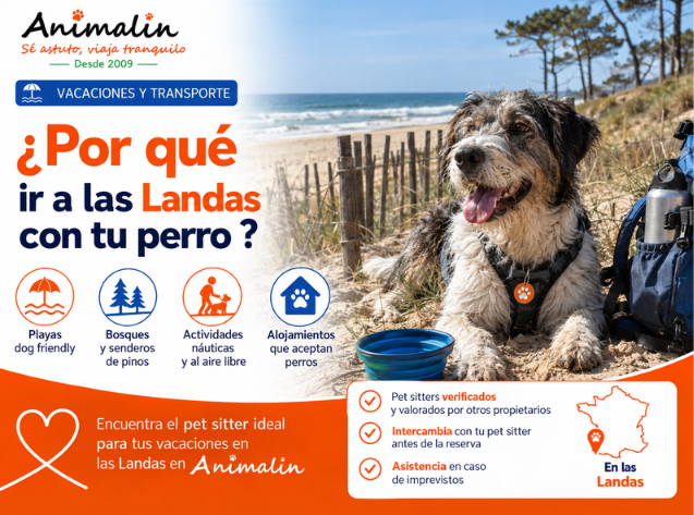 🏄 ¿Y por qué no irte de vacaciones a las Landas con tu perro? Playas, bosques y paseos
