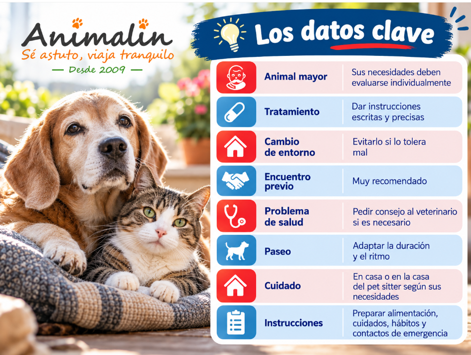 👴 Cómo dejar tu animal anciano al cuidado de un cuidador: las precauciones que debes tomar