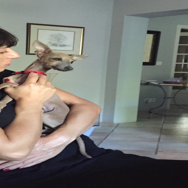 Foto del alojamiento