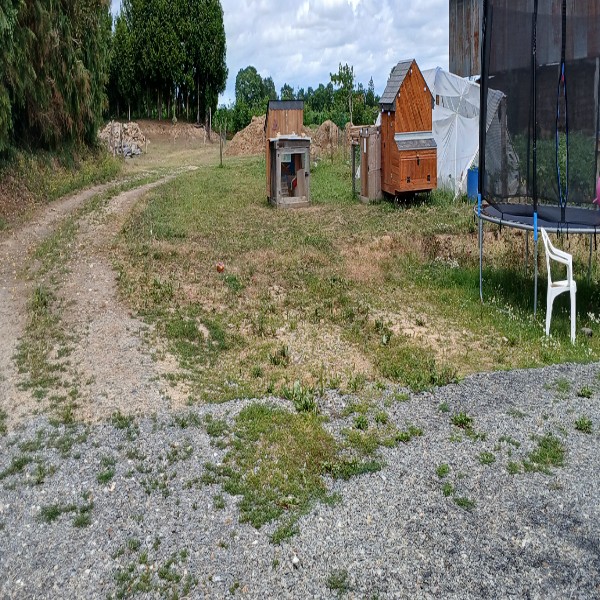 Foto del alojamiento