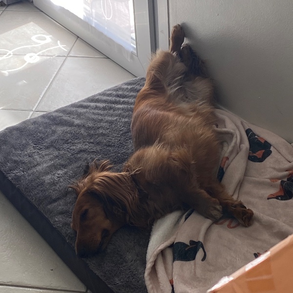 Foto del alojamiento
