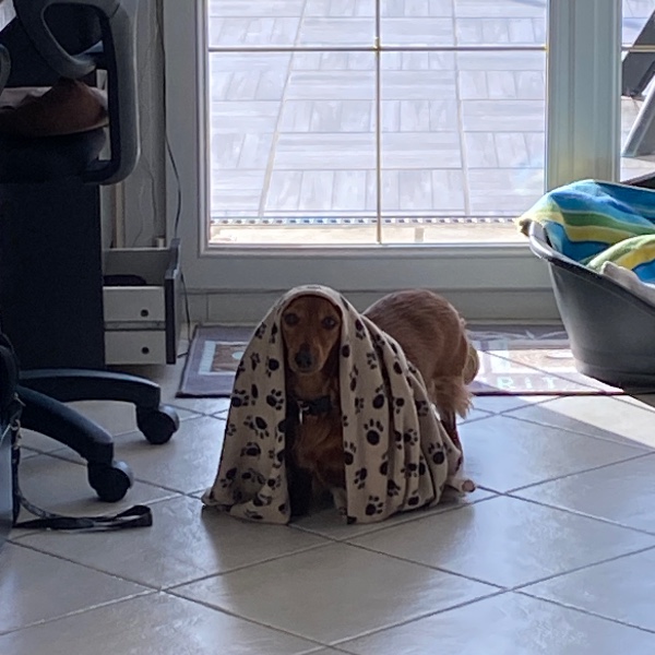 Foto del alojamiento