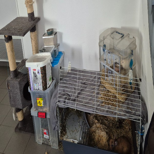 Foto del alojamiento