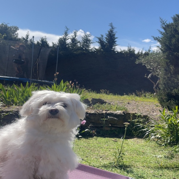 Foto del alojamiento