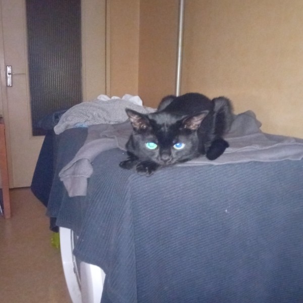 Foto del alojamiento