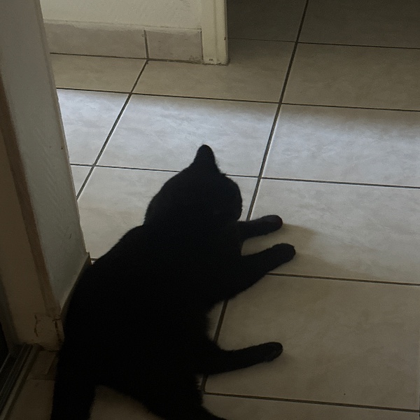 Foto del alojamiento