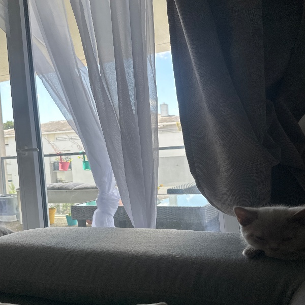 Foto del alojamiento