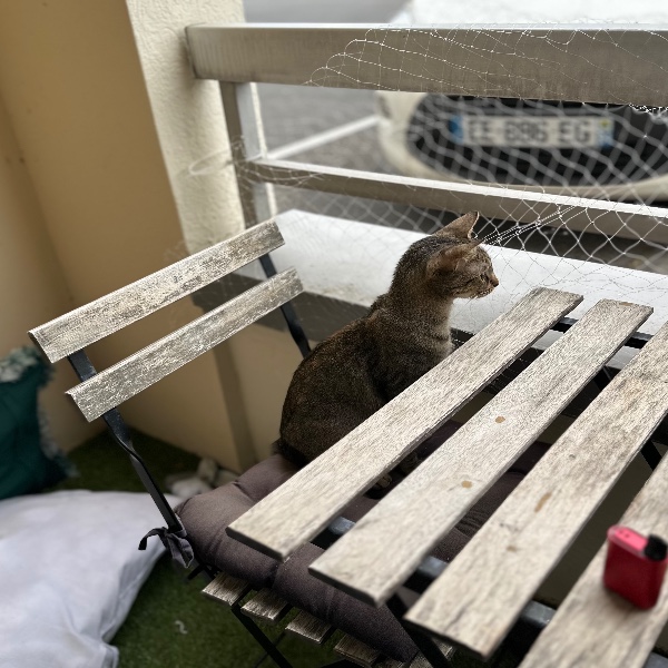 Foto del alojamiento