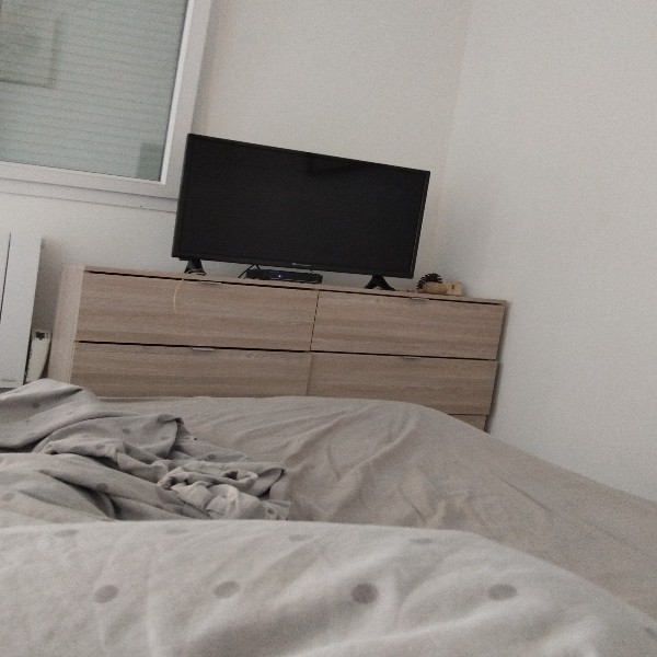 Foto del alojamiento