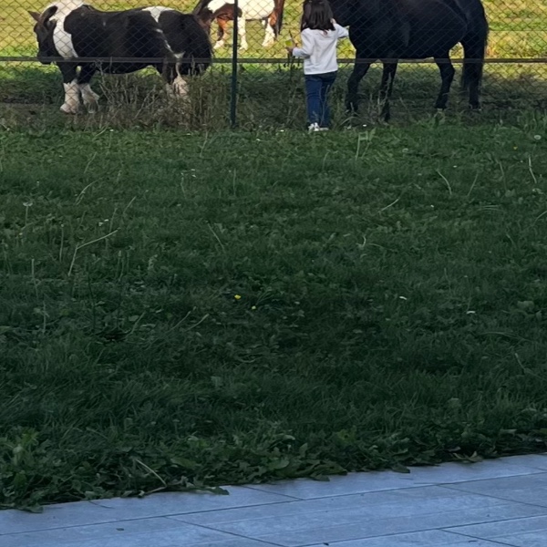 Foto del alojamiento