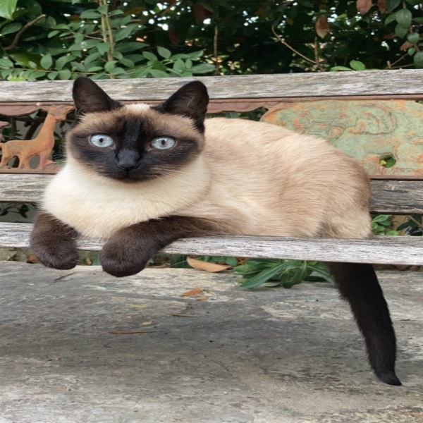Foto del alojamiento