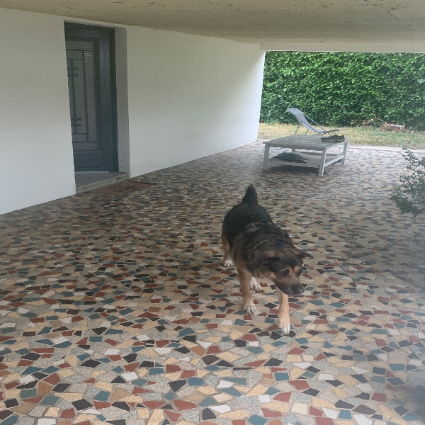 Foto del alojamiento
