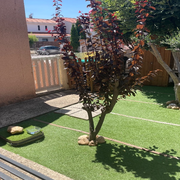 Foto del alojamiento