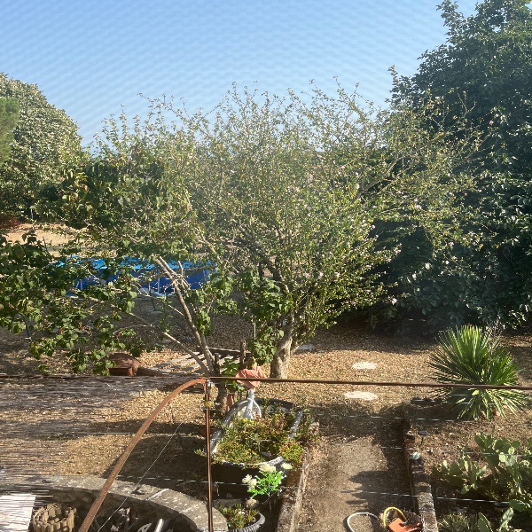Foto del alojamiento
