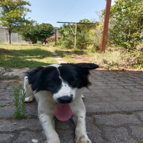 Foto del alojamiento