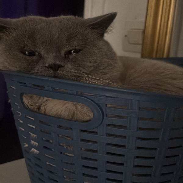Foto del alojamiento