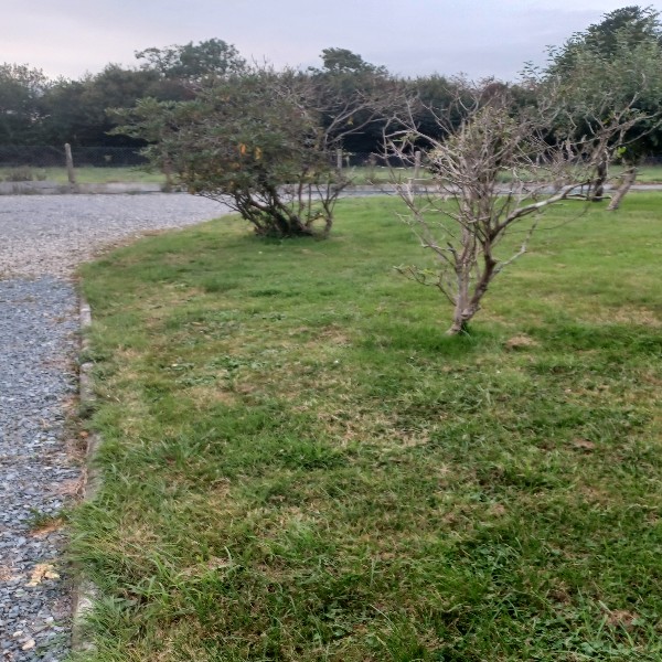 Foto del alojamiento