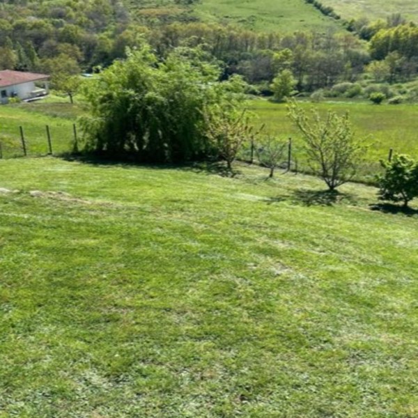 Foto del alojamiento