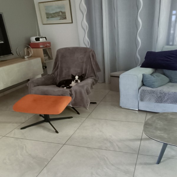 Foto del alojamiento