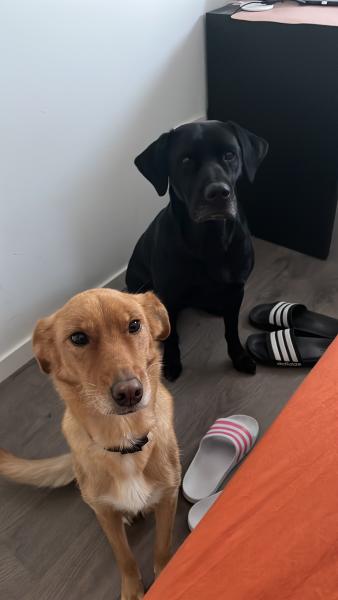 Foto del alojamiento