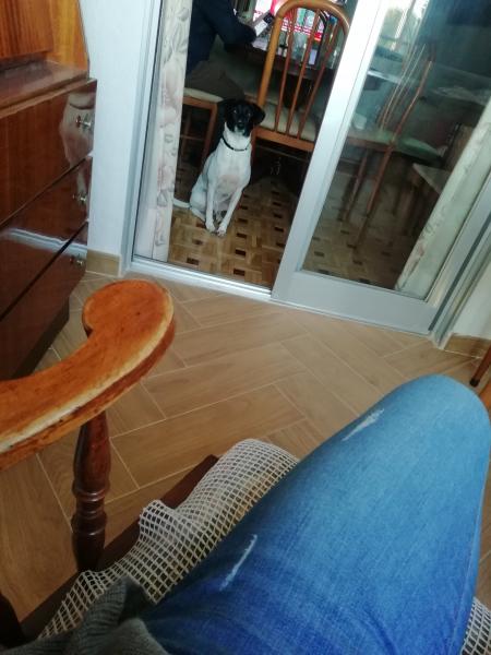 Foto del alojamiento