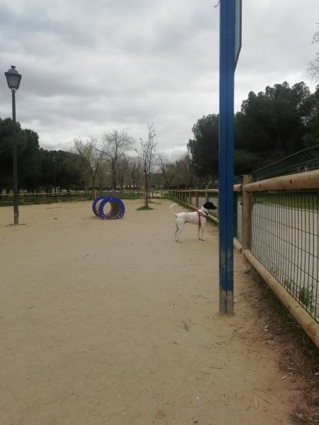 Foto del alojamiento