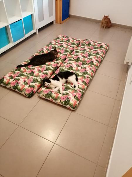 Foto del alojamiento