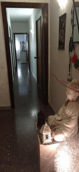 Foto del alojamiento