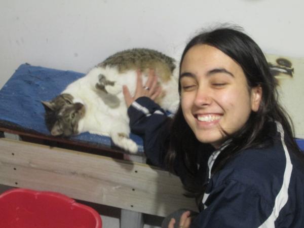 Foto del alojamiento
