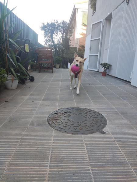 Foto del alojamiento