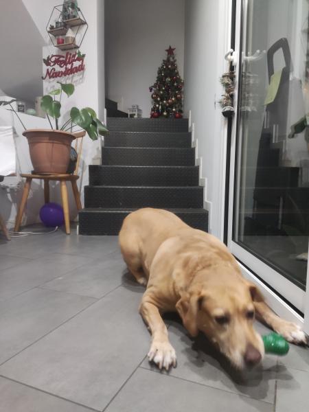 Foto del alojamiento
